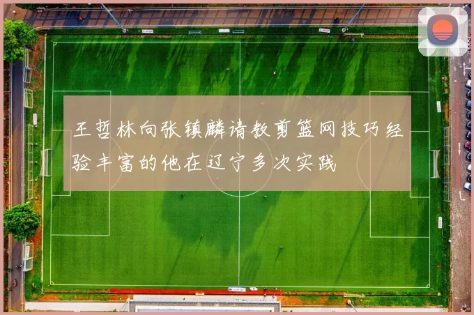 王哲林向张镇麟请教剪篮网技巧经验丰富的他在辽宁多次实践